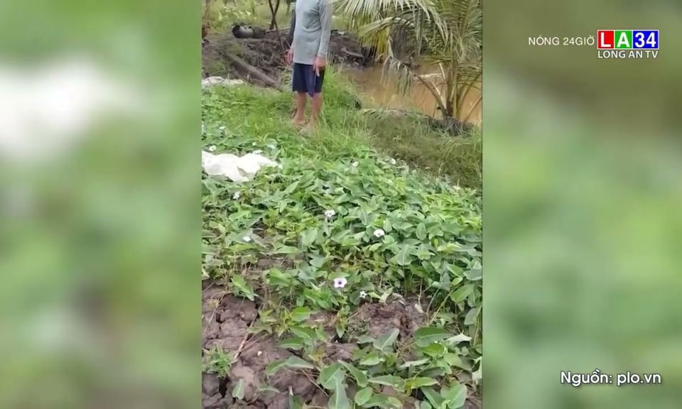 Thực hư quy ước &#8220;dân ấp nào thì được đánh bắt cá sông ấp đó&#8221; tại Đất Mũi