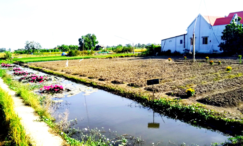 Cần Đước nông dân chủ động nguồn nước phục vụ sản xuất trong mùa khô