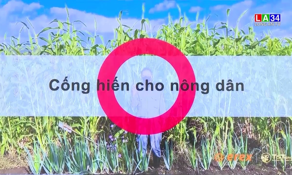 Tập đoàn Nhật Bản đề xuất đầu tư nhà máy điện sinh khối tại Long An