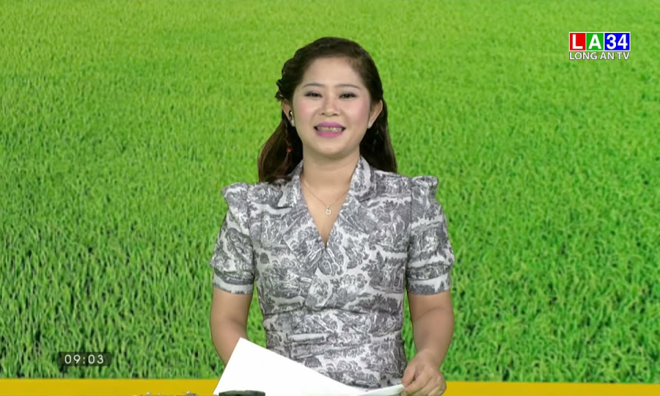 Chuyện nhà nông: Kiểm soát hiệu quả dịch hại lúa Đông Xuân 2021-2022