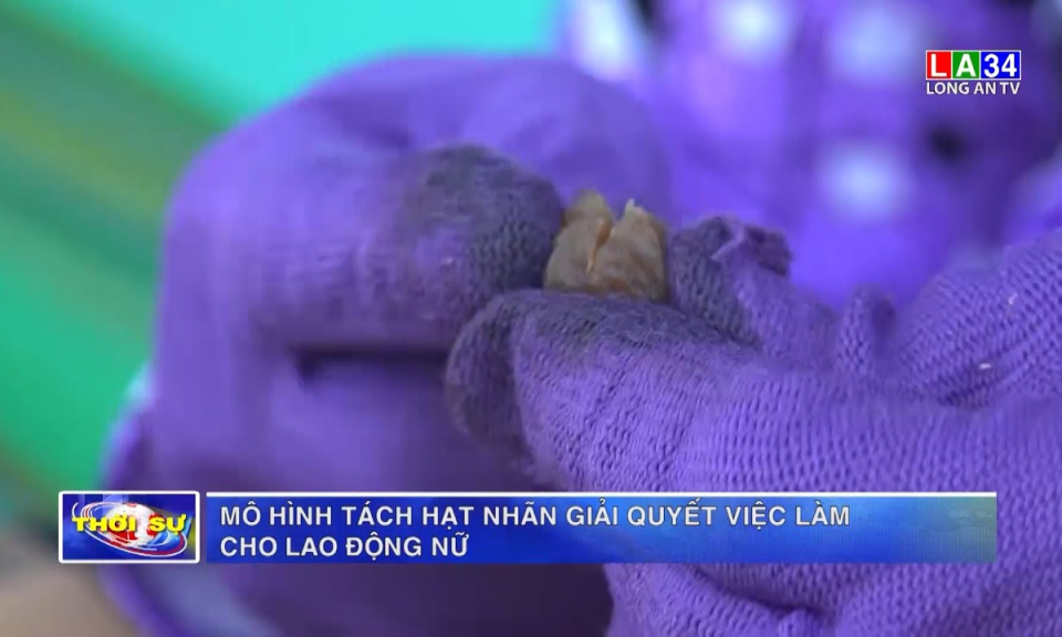 Mô hình tách hạt nhãn giải quyết việc làm cho lao động nữ
