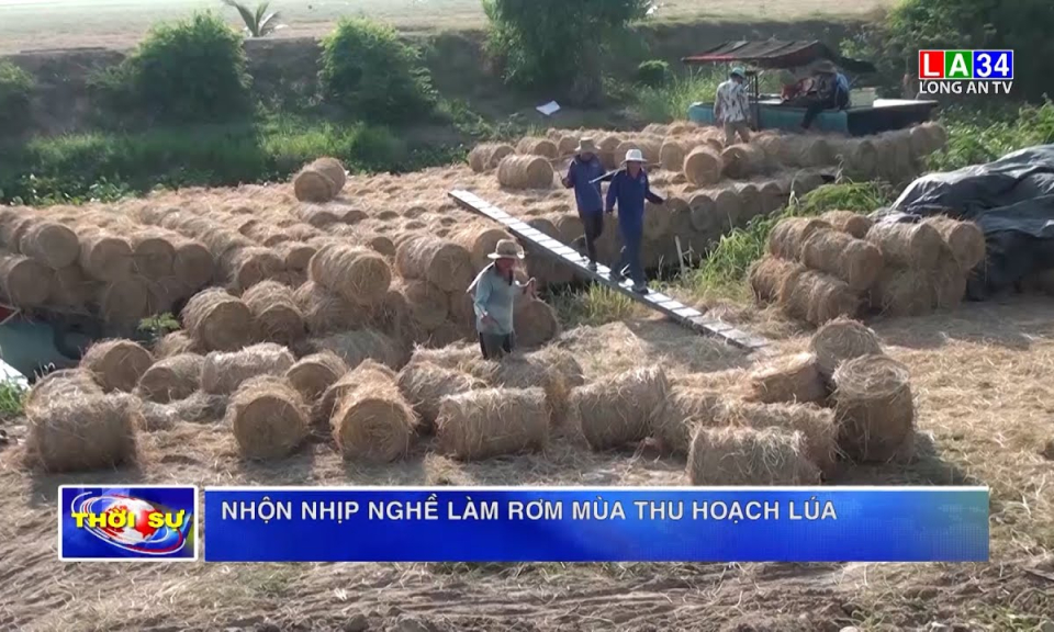 Nhộn nhịp nghề làm rơm mùa thu hoạch lúa