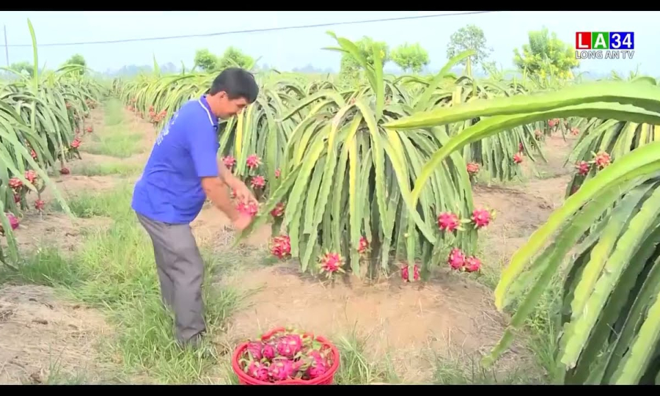 Long An hỗ trợ doanh nghiệp tham gia sàn thương mại điện tử lớn của Việt Nam