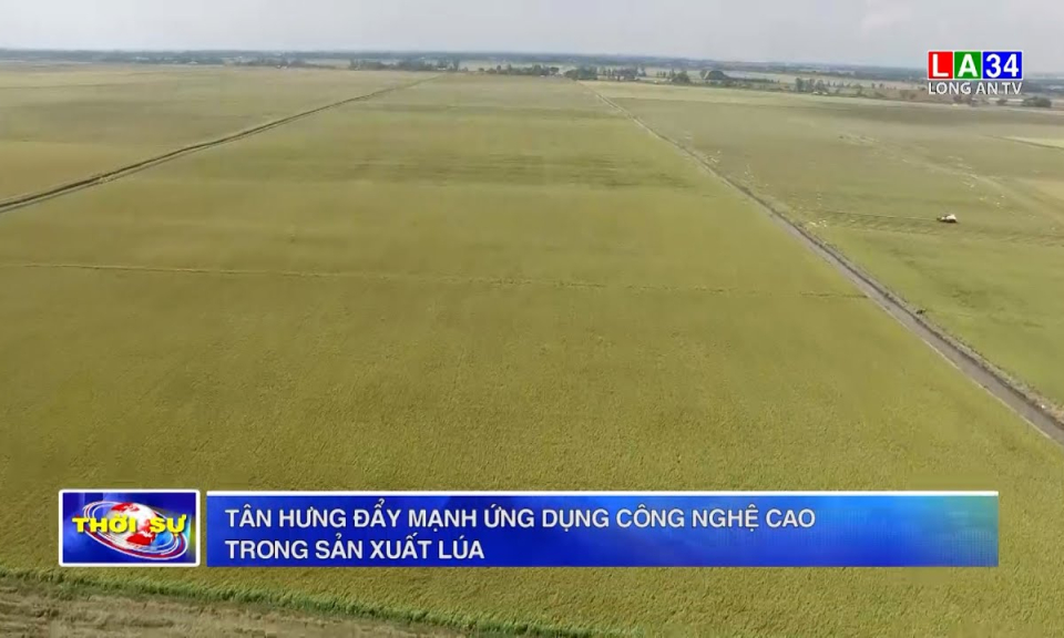Tân Hưng đẩy mạnh ứng dụng công nghệ cao trong sản xuất lúa