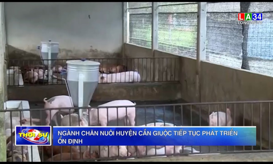 Ngành chăn nuôi huyện Cần Giuộc tiếp tục phát triển ổn định
