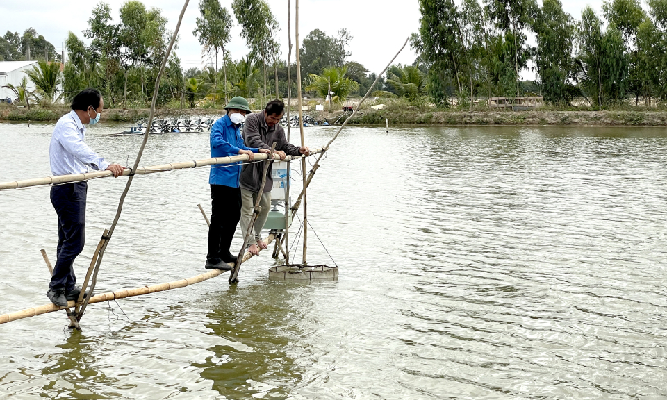 Phó Chủ tịch UBND huyện Tân Hưng kiểm tra tình hình nuôi thủy sản ở xã Hưng Điền B