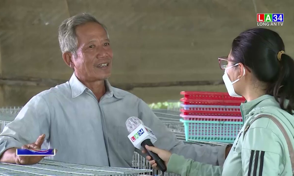 ng Sáu Minh biên giới thành công với mô hình nuôi thỏ