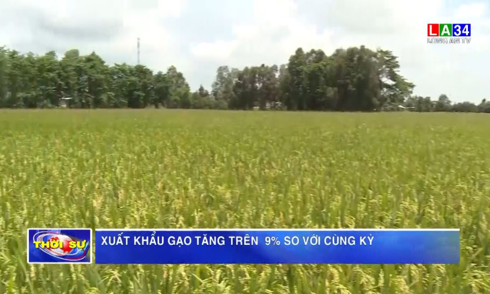 Xuất khẩu gạo tăng trên 9% so với cùng kỳ
