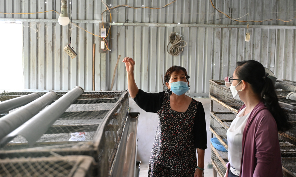 Bến Lức tiết kiệm điện mùa nắng nóng