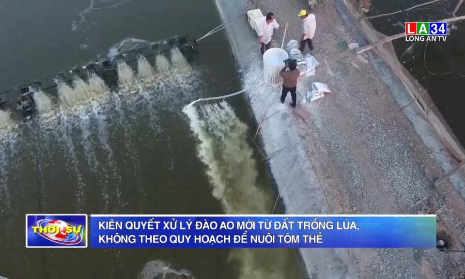 Kiên quyết xử lý đào ao mới từ đất trồng lúa, không theo quy hoạch để nuôi tôm thẻ