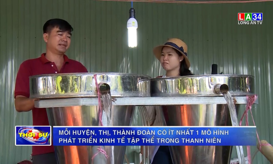 Mỗi huyện, thị, thành đoàn có ít nhất 1 mô hình phát triển kinh tế tập thể trong thanh niên