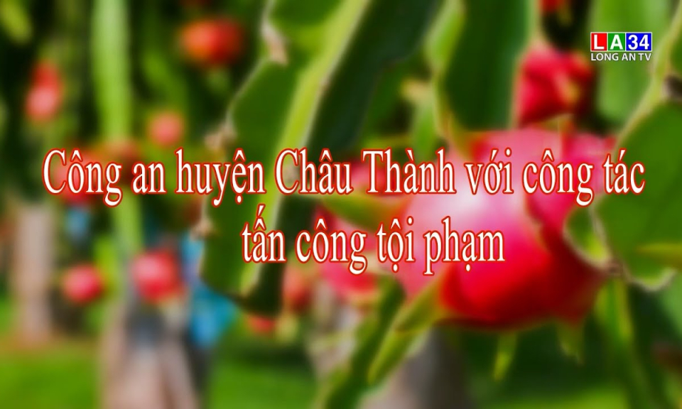 An ninh Long An: Công an huyện Châu Thành với công tác tấn công tội phạm