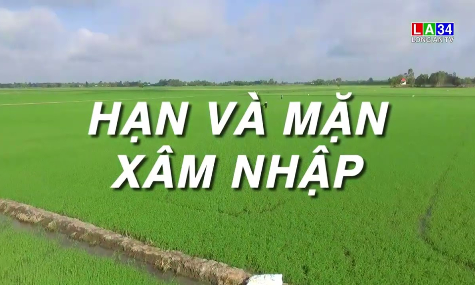 Trailer Chuyện nhà nông: Chuẩn bị cần thiết cho vụ lúa Hè Thu