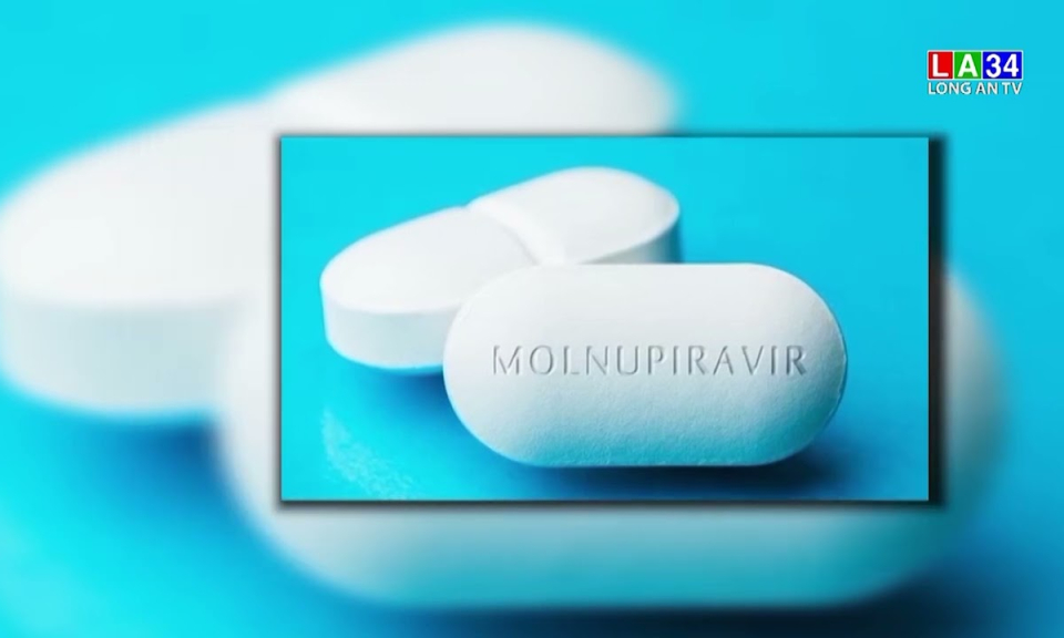 Long An cần thêm 100 000 liều thuốc kháng virus Molnupiravir