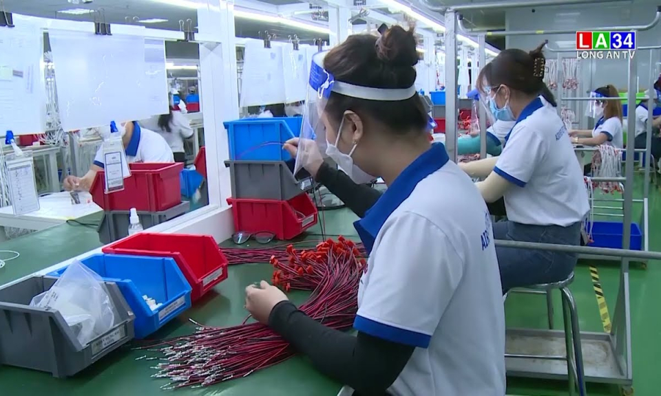 Long An phấn đấu tỷ lệ lao động có kỹ năng công nghệ thông tin đạt 80% năm 2025