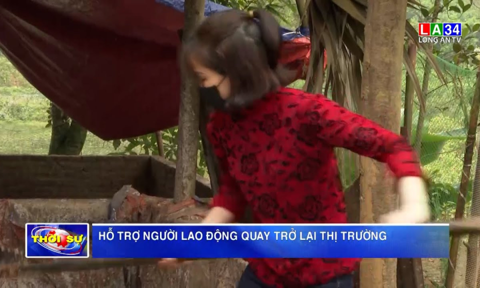 Hỗ trợ người lao động quay trở lại thị trường