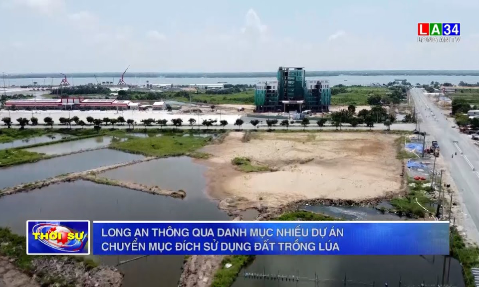 Long An thông qua danh mục nhiều dự án chuyển mục đích sử dụng đất trồng lúa