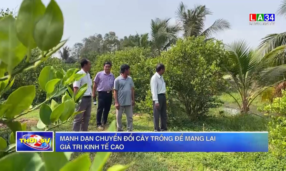 Mạnh dạn chuyển đổi cây trồng để mang lại giá trị kinh tế cao