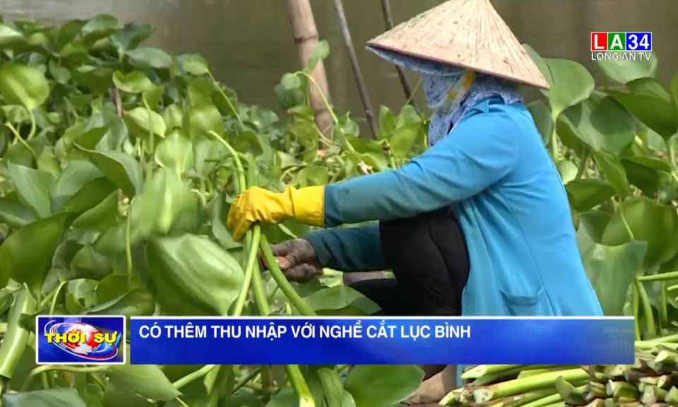 Có thêm thu nhập với nghề cắt lục bình
