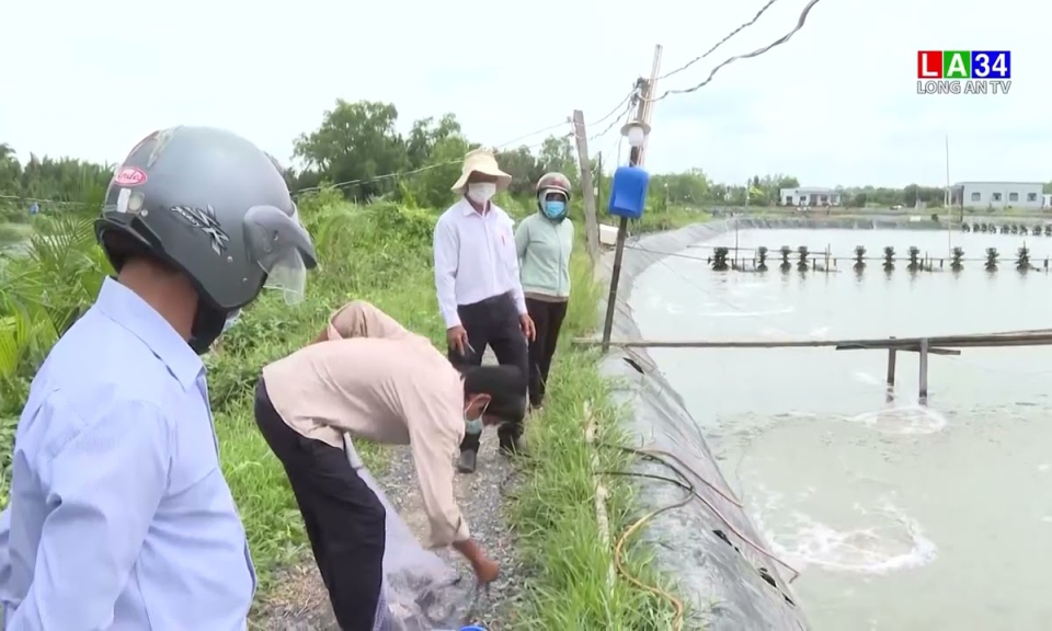 Châu Thành: Tập huấn xây dựng mô hình nuôi tôm ứng dụng công nghệ 4.0