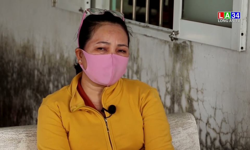 Long An: Giá lúa nếp tiếp tục xuống thấp