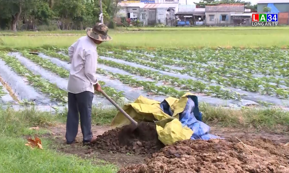 Nông dân tận dụng phân chuồng làm phân hữu cơ