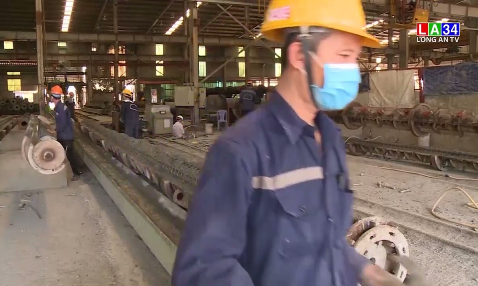 Long An: rà soát nhu cầu đào tạo, tuyển dụng lao động của doanh nghiệp