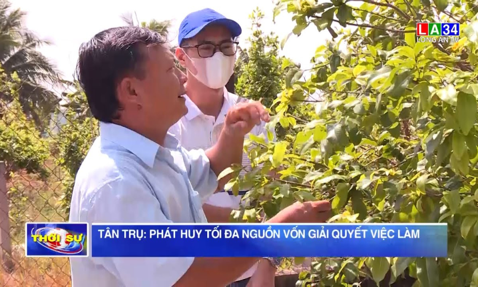 Tân Trụ: Phát huy tối đa nguồn vốn giải quyết việc làm