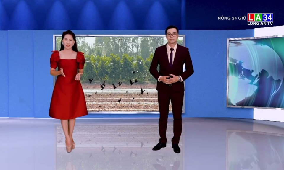 Ngắm hàng ngàn con Cò Quắm Xanh quý hiếm xuất hiện quanh Vườn quốc gia Tràm Chim