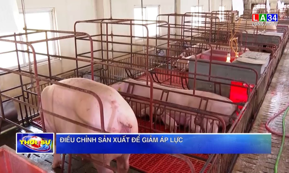 Điều chỉnh sản xuất để giảm áp lực