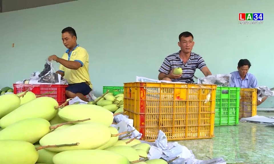 Nông sản mở rộng thị trường xuất khẩu