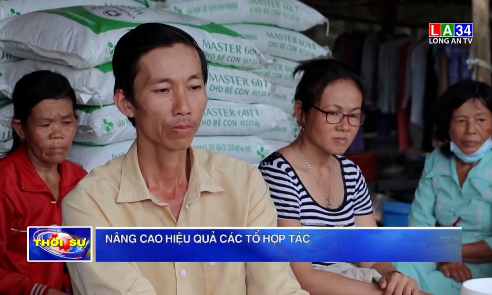 Nâng cao hiệu quả các Tổ hợp tác