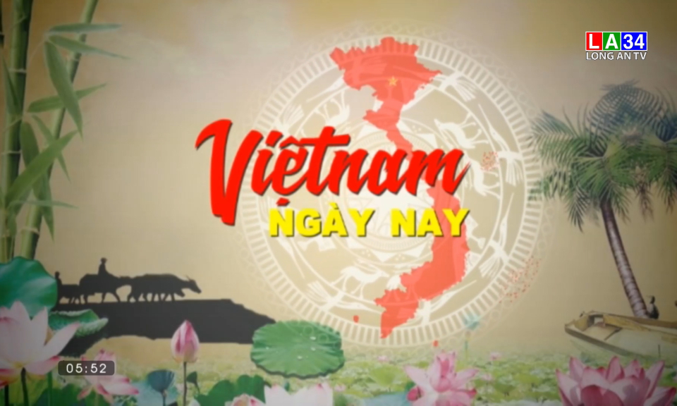 Việt Nam ngày nay: Vĩnh Châu mùa hành tím