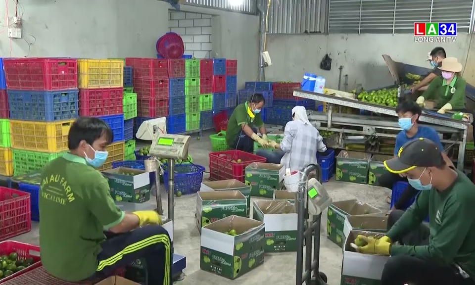 Định hướng thành lập Câu lạc bộ nữ doanh nhân, doanh nghiệp hoặc Câu lạc bộ phụ nữ khởi nghiệp