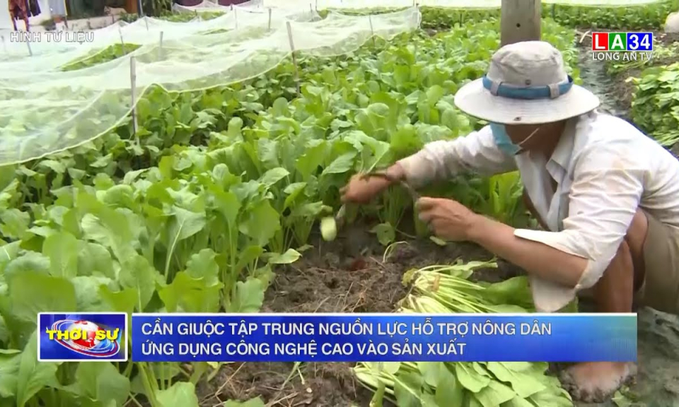 Cần Giuộc tập trung nguồn lực hỗ trợ nông dân ứng dụng công nghệ cao vào sản xuất