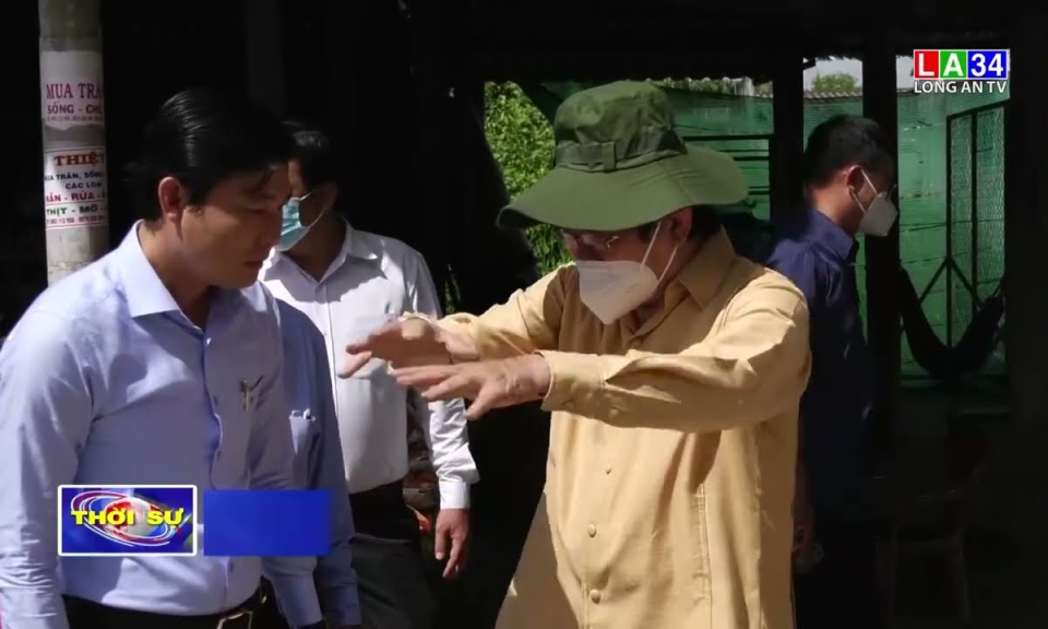 Doanh nghiệp tìm hiểu đầu tư tại Tân Trụ