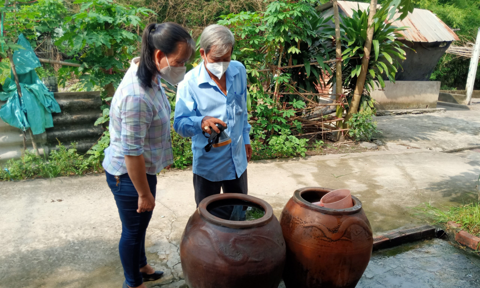 Triển khai chiến dịch diệt lăng quăng phòng, chống dịch bệnh sốt xuất huyết trên toàn tỉnh