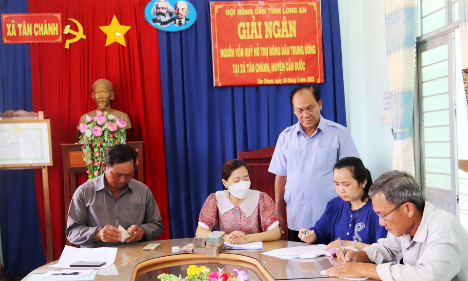Cần Đước giải ngân vốn hỗ trợ nuôi tôm ứng dụng công nghệ cao