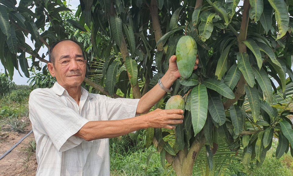 Tân Thạnh phát huy hiệu quả nguồn vốn Quỹ hỗ trợ nông dân