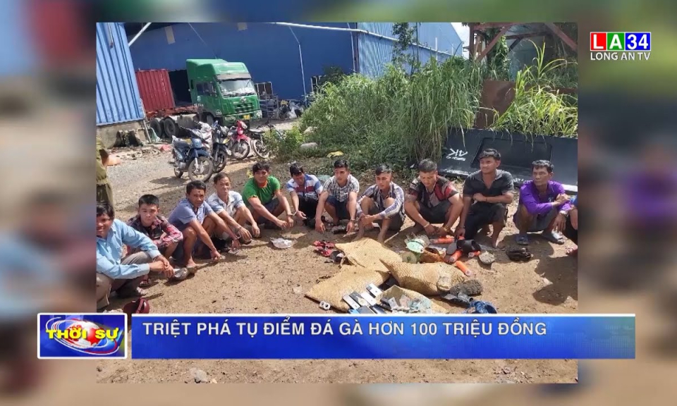 Triệt phá tụ điểm đá gà hơn 100 triệu đồng