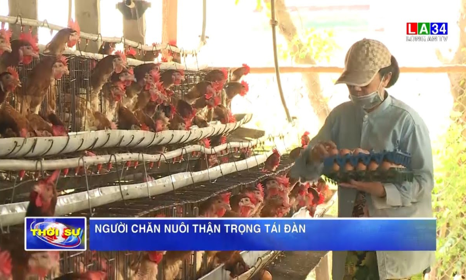 Người chăn nuôi thận trọng tái đàn
