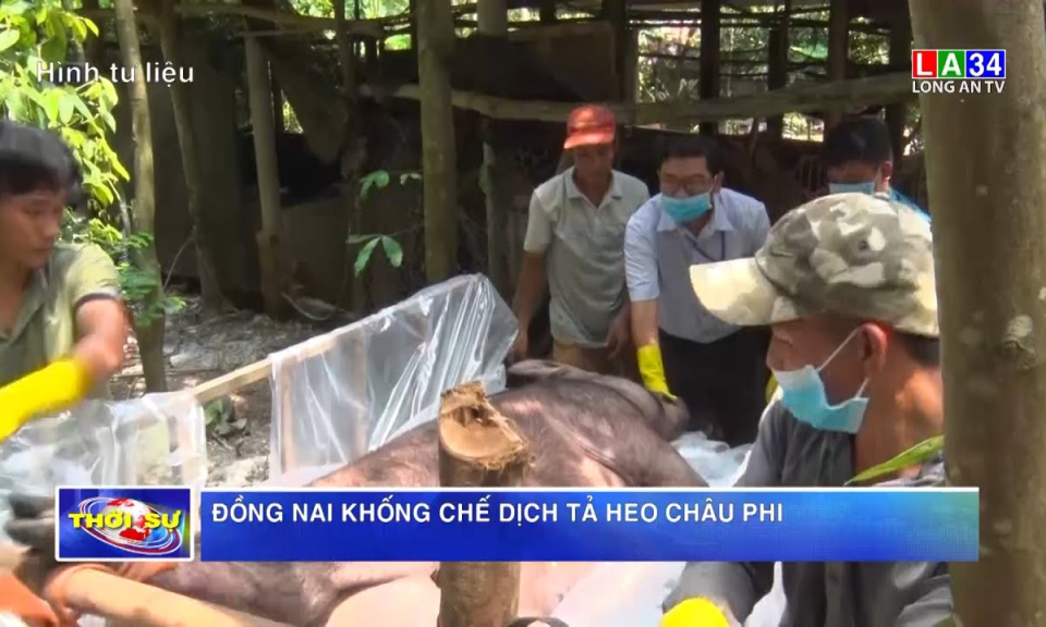 Đồng Nai khống chế dịch tả heo Châu Phi