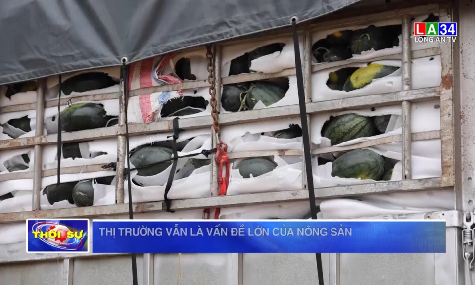Thị trường vẫn là vấn đề lớn của nông sản