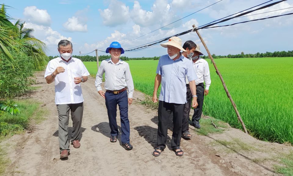Ông Nguyễn Thanh Truyền - Giám đốc Sở Nông nghiệp và Phát triển nông thôn kiểm tra sản xuất tại huyện Tân Thạnh