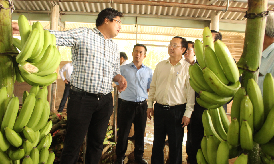 Bộ Khoa học và Công nghệ thăm và làm việc với Công ty TNHH Huy Long An tại Đức Huệ
