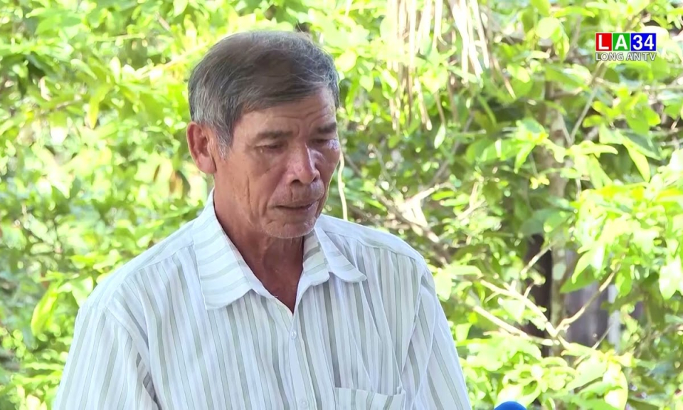 Nhiều nông dân vẫn quyết phá thanh long để chuyển sang cây khác