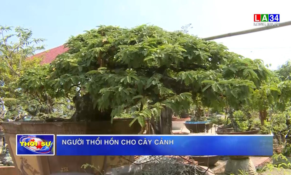 Người thổi hồn cho cây cảnh