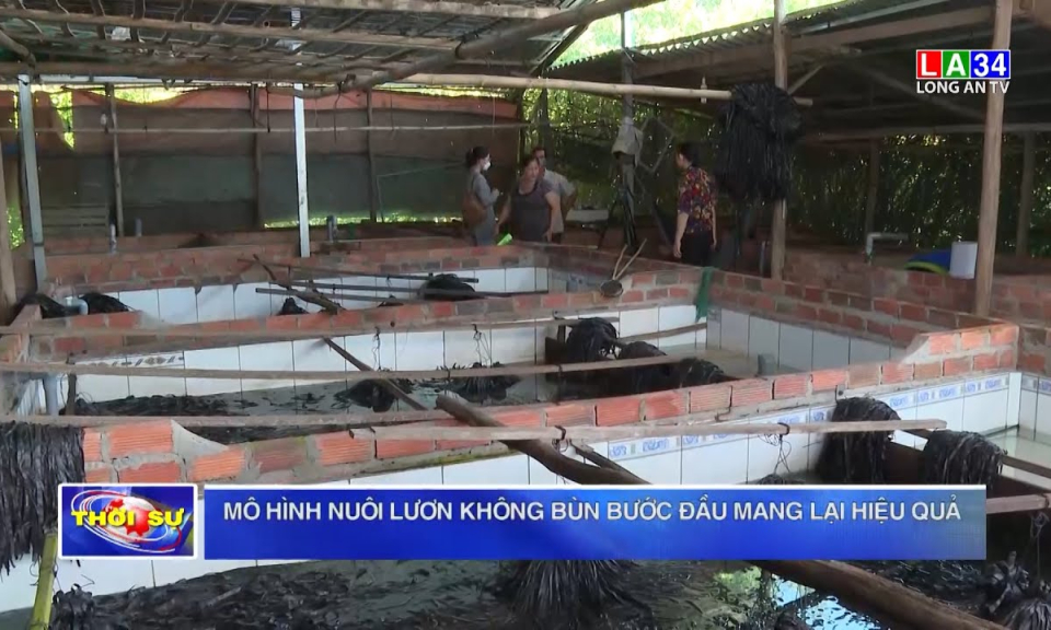 Mô hình nuôi lươn không bùn bước đầu mang lại hiệu quả