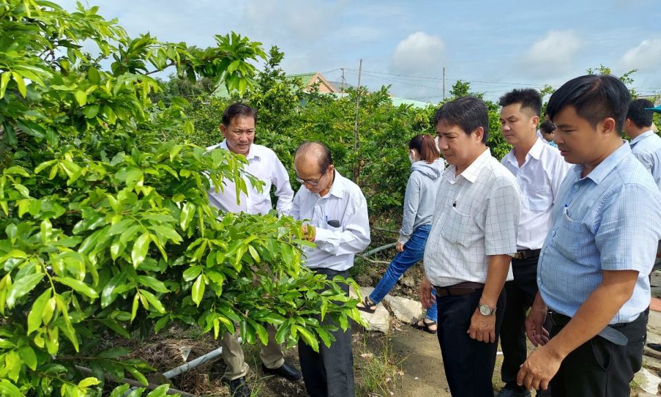 Thạnh Hóa đánh giá hiệu quả Câu lạc bộ canh tác thông minh