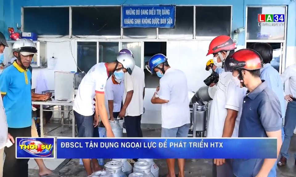 ĐBSCL tận dụng ngoại lực để phát triển HTX